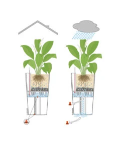 LECHUZA® CLASSICO LS, All-in-One-Set -Ubbink Verkäufe 001 InOutdoorLechuza