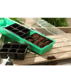 Dehner Zimmergewächshaus Frans, 54 X 15 X 12 Cm -Ubbink Verkäufe 207456 BildM 001 RombergZimmergewaechshausFransFensterbGewH54X15x12