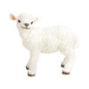 Polyresin Lamm Stehend, Weiß -Ubbink Verkäufe 2451946 WE FS 001 PolyresinLammstehendwei39x22x36cm
