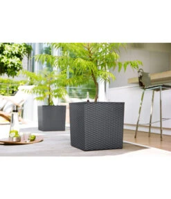 Dehner Kunststoff-Pflanztopf Dallas, Quadratisch, Ca. B35/H34/T35 Cm 11 Dehner Kunststoff-Pflanztopf Dallas, Quadratisch, Ca. B35/H34/T35 Cm -Ubbink Verkäufe 2460038 2460046 2460053 WE MO 001 KunststoffTopf36x36x36cm