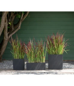 Dehner Kunststoff-Pflanztopf Dallas, Quadratisch, Ca. B35/H34/T35 Cm 13 Dehner Kunststoff-Pflanztopf Dallas, Quadratisch, Ca. B35/H34/T35 Cm -Ubbink Verkäufe 2460046 WE MO 003 DehnerKunststoffPflanztopfDallasquadratisch