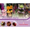 Thompson & Morgan Samen 'Wildblumen-Collection' -Ubbink Verkäufe 2531705 WE FS 001 ThompsonMorganWildblumenCollection