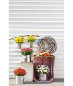 Zinktopf Mit Bügelhalter, Rund -Ubbink Verkäufe 2533388 WE MO 004 ZinktopfmitBuegelhalter