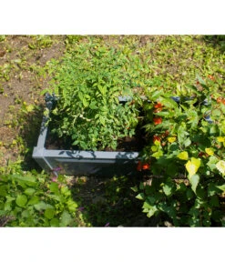 KHW Kunststoff-Pflanzkasten, 100 X 43 X 41 Cm 15 KHW Kunststoff-Pflanzkasten, 100 X 43 X 41 Cm -Ubbink Verkäufe 2549483 WE DE 003 Pflanzkasten100cmanthrazit