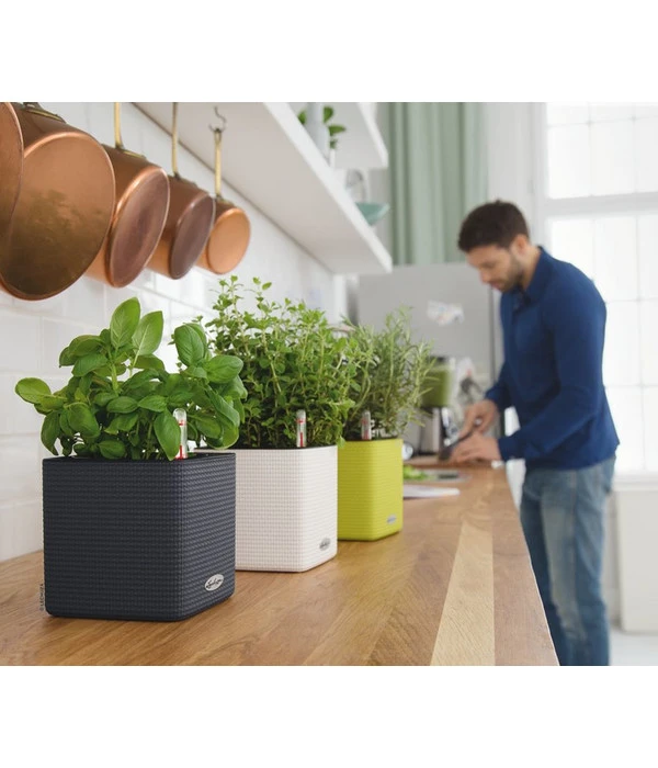 LECHUZA® CUBE Color, All-in-One Set 7 LECHUZA® CUBE Color, All-in-One Set – Bild 5