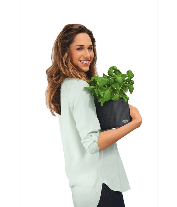 LECHUZA® CUBE Color, All-in-One Set 6 LECHUZA® CUBE Color, All-in-One Set – Bild 4