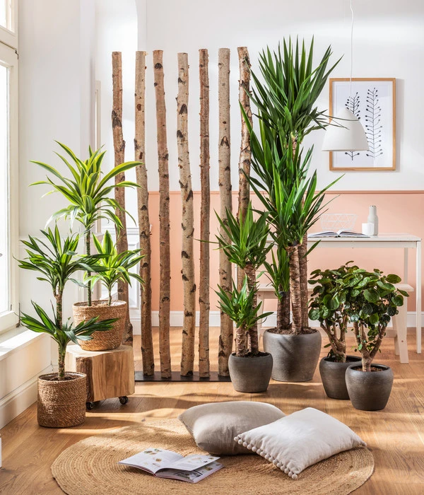 Dehner Keramik-Übertopf Kenia, Konisch, Braun 4 Dehner Keramik-Übertopf Kenia, Konisch, Braun – Bild 2