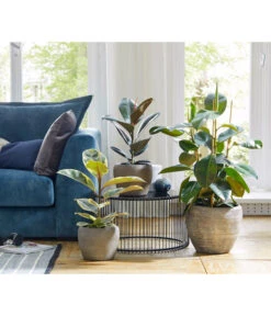 Dehner Keramik-Übertopf Kenia, Konisch, Braun 9 Dehner Keramik-Übertopf Kenia, Konisch, Braun -Ubbink Verkäufe 2906469 WE MO 001 TopfKeniaBraun