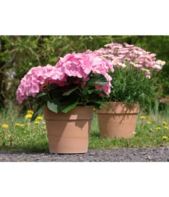 Spang Terrakotta-Pflanzgefäß Calima 15 Spang Terrakotta-Pflanzgefäß Calima -Ubbink Verkäufe 2919595 2919652 2919694 2919736 2919835 2919843 WE FS 001 TerrakottaTopfCalimaantik