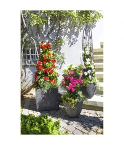 Dehner Polystone-Topf Brisbane In Riffeloptik, Rund -Ubbink Verkäufe 3158847 3158870 3158888 3158995 3159092 3159126 WE MO 004 PolystoneTopfinRiffeloptikrundsand