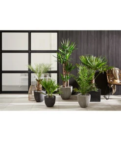 Dehner Polystone-Topf Brisbane In Riffeloptik, Rund -Ubbink Verkäufe 3158847 3158870 3158888 WE MO 002 PolystoneTopfinRiffeloptikrundsand