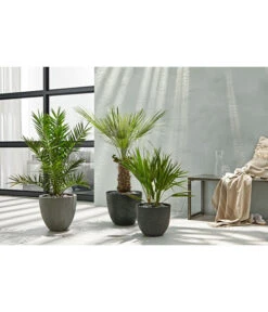 Dehner Polystone-Topf Brisbane In Riffeloptik, Rund -Ubbink Verkäufe 3158847 3158870 3158888 WE MO 003 PolystoneTopfinRiffeloptikrundsand