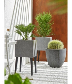 Dehner Polystone-Topf Brisbane In Riffeloptik, Rund -Ubbink Verkäufe 3158847 3158870 3158888 WE MO 005 PolystoneTopfinRiffeloptik