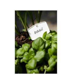 Elho Pflanz-Stift, 5 Stück -Ubbink Verkäufe 3266806 MO FS 001 PflanzstiftMweissElhoEtikett