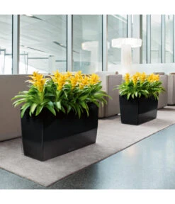 LECHUZA® CARARO, All-in-One-Set, 43 X 30 X 75 Cm -Ubbink Verkäufe 3409273 BildM 001 CararoSchwarzLechuza