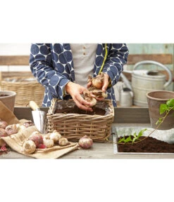 Van Der Leeden Rattan-Pflanzkasten, Graubraun -Ubbink Verkäufe 3692761 3692548 3692506 WE MO 008 RattanPflanzkastenbraunBlumenkasten