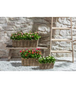 Van Der Leeden Rattan-Pflanzkasten, Graubraun -Ubbink Verkäufe 3692761 3692548 3692506 WE MO 013 RattanPflanzkastenbraun