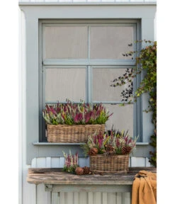 Van Der Leeden Rattan-Pflanzkasten, Graubraun -Ubbink Verkäufe 3692761 3692548 3692506 WE MO 014 RattanPflanzkastenbraun