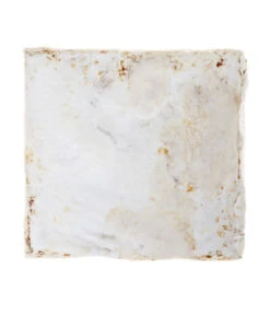 Pilzmännchen Bio Pilzzuchtset Austernpilz -Ubbink Verkäufe 3940285 BildD 002 PilzmaennchenBioHomePilzzuchtsetAusternpilzPilzbrutAusternpilzSet