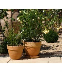 Spang Terrakotta-Pflanztopf Levante, Rund, Marmoriert 7 Spang Terrakotta-Pflanztopf Levante, Rund, Marmoriert -Ubbink Verkäufe 3952744 BildM 001 TerrakottaPflanztopfLevanteTerrPflanztopf19Cm