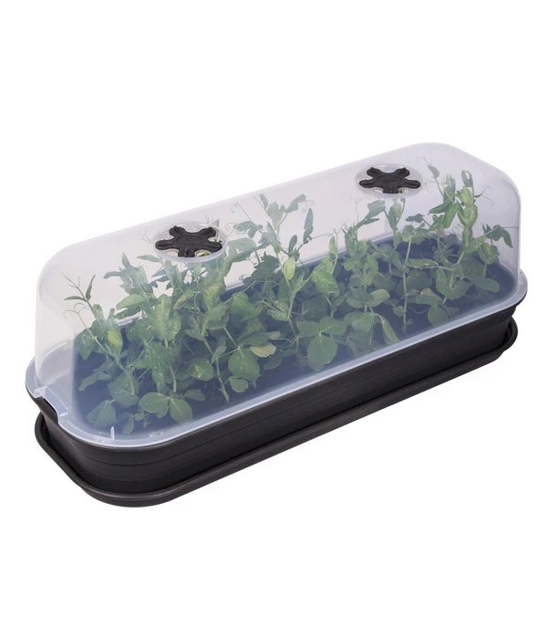 Elho Anzuchthaube L 4 Elho Anzuchthaube L – Bild 2