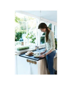 Elho Anzuchthaube L 7 Elho Anzuchthaube L -Ubbink Verkäufe 4026704 WE MO 001 AnzuchthausLTransparentElho