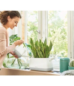 LECHUZA® YULA Gießkanne, 1,7 L -Ubbink Verkäufe 4065934 PR MO 001 YulaPflanztascheWeissGrau 4065884