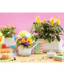 LECHUZA® YULA Gießkanne, 1,7 L -Ubbink Verkäufe 4065934 PR MO 002 4065884 4065850 YulaSetWeissGrau