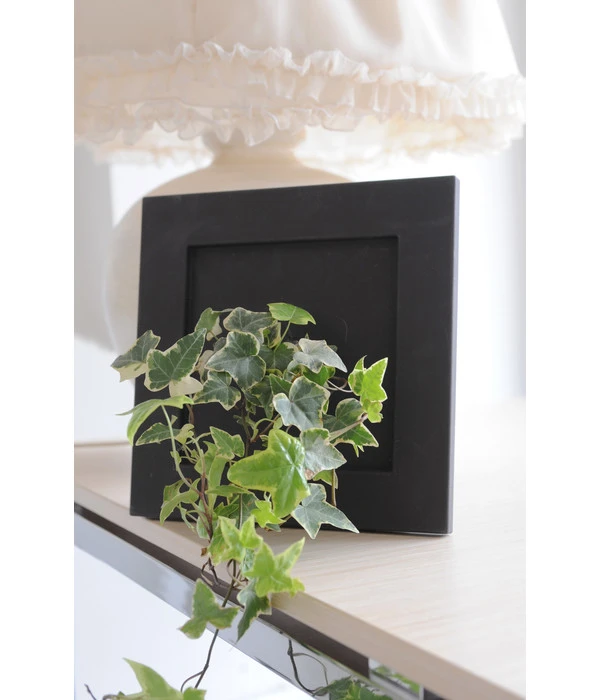 Farmet Kunststoff-Rahmen Living Flower, Ca. B25/H25/T8 Cm 4 Farmet Kunststoff-Rahmen Living Flower, Ca. B25/H25/T8 Cm – Bild 2