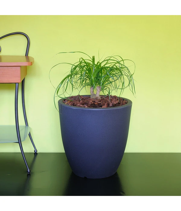 Farmet Kunststoff-Topf-Set Orione Alto, Rund, Anthrazit, 2-teilig 4 Farmet Kunststoff-Topf-Set Orione Alto, Rund, Anthrazit, 2-teilig – Bild 2