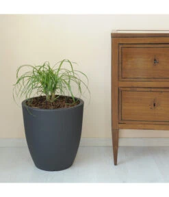 Farmet Kunststoff-Topf-Set Orione Alto, Rund, Anthrazit, 2-teilig 10 Farmet Kunststoff-Topf-Set Orione Alto, Rund, Anthrazit, 2-teilig -Ubbink Verkäufe 4109195 WE DE 002 ORIONEALTOHoherRunderPflanzkuebelDurchmesser50cm50cmhochDUNKELANTHRAZIT