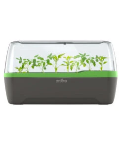 Romberg BoQube Gewächshaus 15 Romberg BoQube Gewächshaus -Ubbink Verkäufe 4299970 WE FS 005 RombergGewaechshausZimmergewaechshausAnzucht