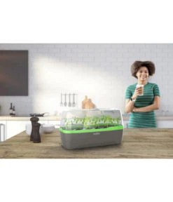 Romberg BoQube Gewächshaus 17 Romberg BoQube Gewächshaus -Ubbink Verkäufe 4299970 WE MO 001 RombergGewaechshausZimmergewaechshausAnzucht