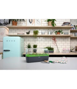 Romberg BoQube Gewächshaus 18 Romberg BoQube Gewächshaus -Ubbink Verkäufe 4299970 WE MO 002 BoQubeGewaechshausZimmergewaechshaus