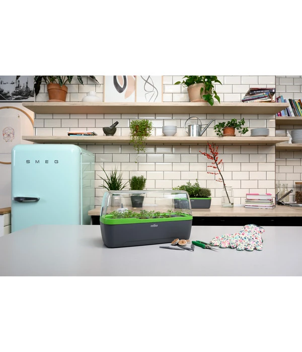 Romberg BoQube Gewächshaus 10 Romberg BoQube Gewächshaus – Bild 8