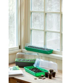 Romberg Zimmergewächshaus 7 Romberg Zimmergewächshaus -Ubbink Verkäufe 4299970 WE MO 004 BoQubeZimmergewaechshaus