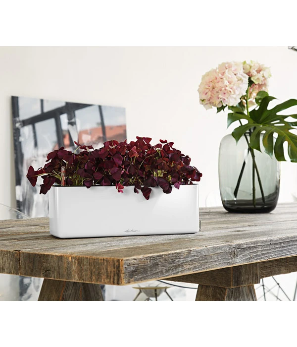 LECHUZA® CUBE Glossy Triple, All-in-One Set, 40 Cm 6 LECHUZA® CUBE Glossy Triple, All-in-One Set, 40 Cm – Bild 4