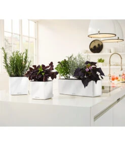 LECHUZA® CUBE Glossy Triple, All-in-One Set, 40 Cm 9 LECHUZA® CUBE Glossy Triple, All-in-One Set, 40 Cm -Ubbink Verkäufe 4310652 PR MO 003 CubeGlossyTripleWeiss