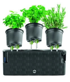 Dehner Kunststoff-Kasten Mona, Trio, Ca. B40/H14/T14 Cm -Ubbink Verkäufe 4320768 PR FS 003 TopfMonaTrioAnthrazitDehnerExpressHerzig