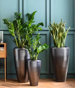 Dehner Keramik-Vase Lissabon Mit LECHUZA® Bewässerungssystem, Konisch 9 Dehner Keramik-Vase Lissabon Mit LECHUZA® Bewässerungssystem, Konisch -Ubbink Verkäufe 4448833 4448858 4448841 WE MO 002 PflanzvaseLissabonAnthrazit