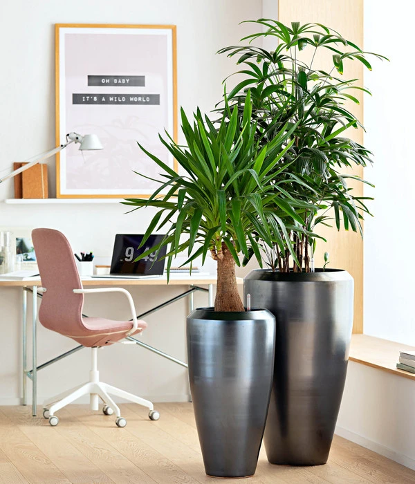 Dehner Keramik-Vase Lissabon Mit LECHUZA® Bewässerungssystem, Konisch 7 Dehner Keramik-Vase Lissabon Mit LECHUZA® Bewässerungssystem, Konisch – Bild 5