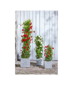 Dehner Leichtbeton-Topf Rock, Quadratisch, Grau -Ubbink Verkäufe 5157524 5157532 5157540 5157557 WE MO 002 DehnerLeichtbetonTopfRockPflanzkuebelBlumentopf