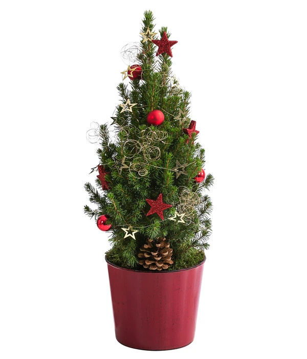Geschmückter Weihnachtsbaum Antik 3 Geschmückter Weihnachtsbaum Antik