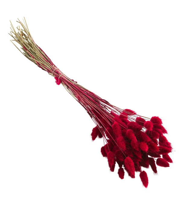 Trockenblumenbund Hasenschwanzgras, Pink 3 Trockenblumenbund Hasenschwanzgras, Pink