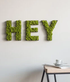 StyleGREEN Buchstaben Aus Islandmoos, Ca. H25 Cm -Ubbink Verkäufe 6429435 WE MO 003 BuchstabenIslandmoosHey