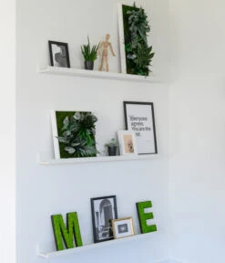 StyleGREEN Bild Im Dschungeldesign, Quadratisch, Ca. B35/H35/T16 Cm 9 StyleGREEN Bild Im Dschungeldesign, Quadratisch, Ca. B35/H35/T16 Cm -Ubbink Verkäufe 6429435 WE MO 004 BuchstabenIslandmoosimRegal 1