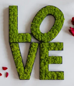 StyleGREEN Buchstaben Aus Islandmoos, Ca. H25 Cm -Ubbink Verkäufe 6429435 WE MO 007 BuchstabenIslandmoosLove