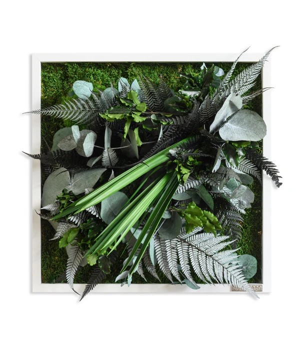 StyleGREEN Bild Im Dschungeldesign, Quadratisch, Ca. B35/H35/T16 Cm 3 StyleGREEN Bild Im Dschungeldesign, Quadratisch, Ca. B35/H35/T16 Cm