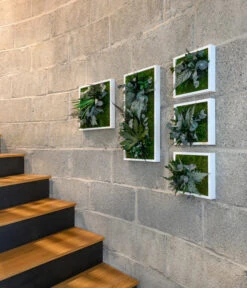 StyleGREEN Bild Im Dschungeldesign, Quadratisch, Ca. B35/H35/T16 Cm 8 StyleGREEN Bild Im Dschungeldesign, Quadratisch, Ca. B35/H35/T16 Cm -Ubbink Verkäufe 6429864 WE MO 002 Pflanzenbild35x35cmStylegreen