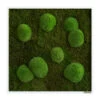 StyleGREEN Bild Aus Wald- Und Kugelmoos, Quadratisch, Ca. B55/H55/T6 Cm 1 StyleGREEN Bild Aus Wald- Und Kugelmoos, Quadratisch, Ca. B55/H55/T6 Cm -Ubbink Verkäufe 6429880 WE FS 001 Wald Kugelmoosbild55x55cmStylegreen